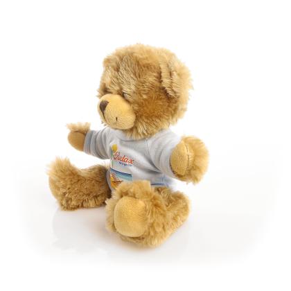 Printed 20cm Charles Jointed bear - Baby Blue t-shirt