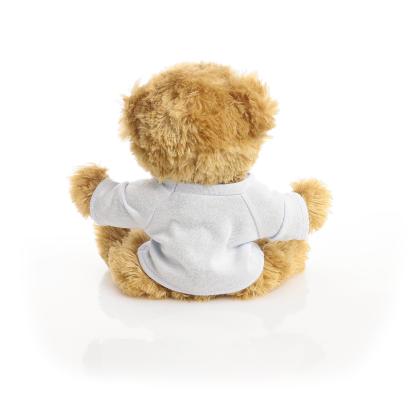 Printed 20cm Charles Jointed bear - Baby Blue t-shirt