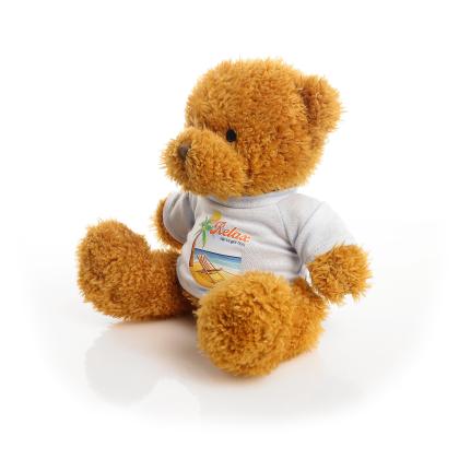 Printed Golden 18cm James bear - Baby Blue t-shirt