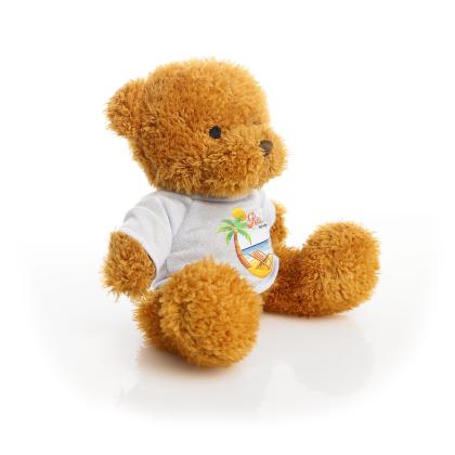 Printed Golden 18cm James bear - Baby Blue t-shirt