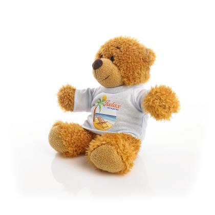 Printed 17cm Anne bear - Baby Blue t-shirt