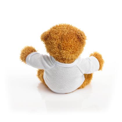 Printed 17cm Anne bear - Baby Blue t-shirt