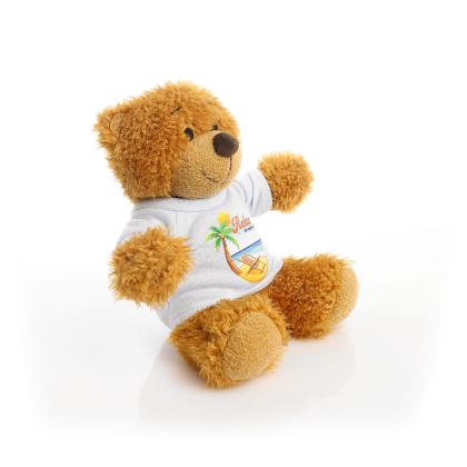 Printed 17cm Anne bear - Baby Blue t-shirt