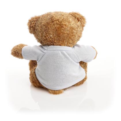 Printed Brown 22cm Edward bear - Baby Blue t-shirt