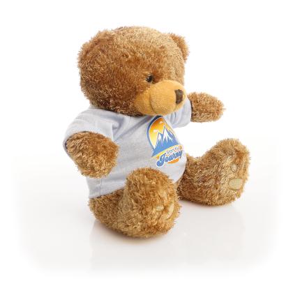 Printed Brown 22cm Edward bear - Baby Blue t-shirt
