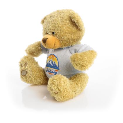 Printed Golden 22cm Edward bear - Baby Blue t-shirt