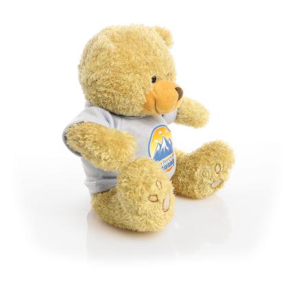 Printed Golden 22cm Edward bear - Baby Blue t-shirt