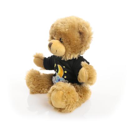 Printed 20cm Charles Jointed bear with Black t-shirt