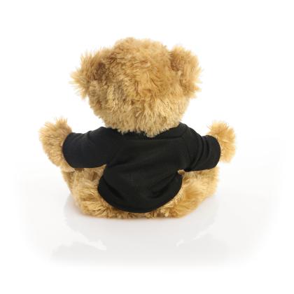 Printed 20cm Charles Jointed bear with Black t-shirt