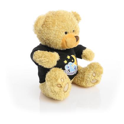 Printed Golden 22cm Edward bear - Black t-shirt