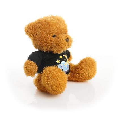 Printed Golden 18cm James bear - Black t-shirt