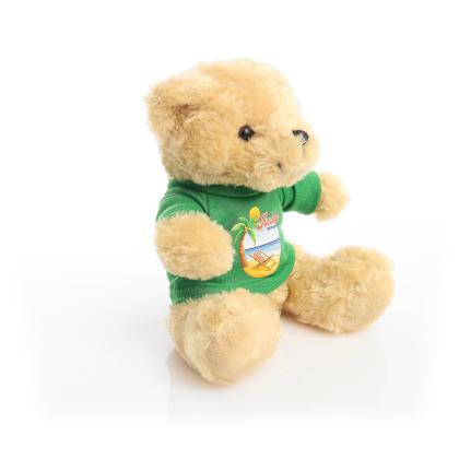 Printed 19cm Victoria bear - Green t-shirt