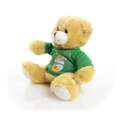 Printed 20cm Elizabeth bear - Green t-shirt