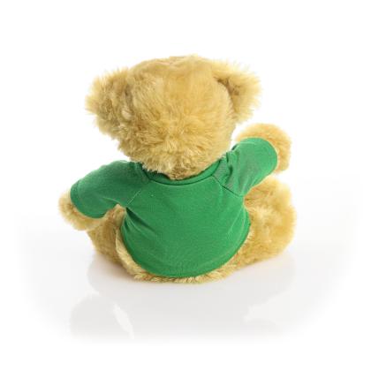 Printed 20cm Elizabeth bear - Green t-shirt