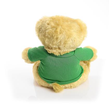 Printed 25cm Elizabeth bear - Green t-shirt
