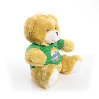 Printed 25cm Elizabeth bear - Green t-shirt