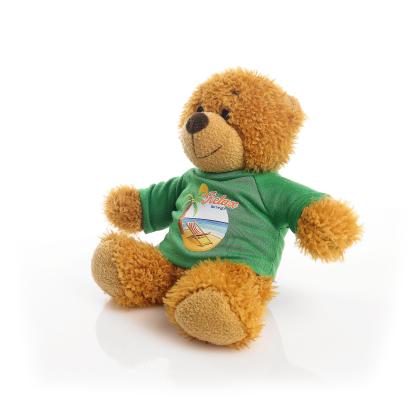 Printed 17cm Anne bear - Green t-shirt