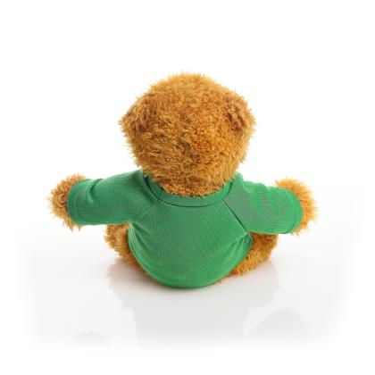 Printed 17cm Anne bear - Green t-shirt