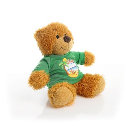 Printed 17cm Anne bear - Green t-shirt