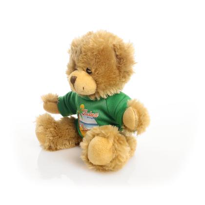 Printed 20cm Charles Jointed bear - Green t-shirt