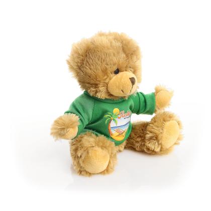 Printed 20cm Charles Jointed bear - Green t-shirt