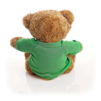 Printed Brown 22cm Edward bear - Green t-shirt