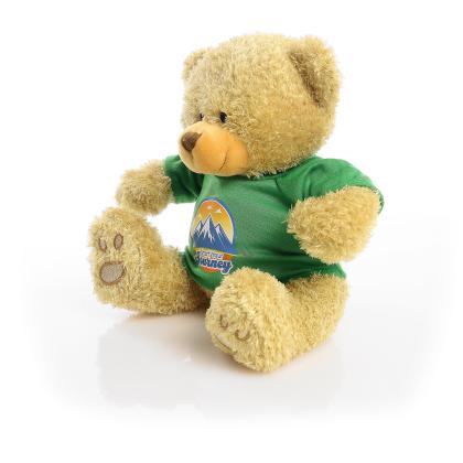Printed Golden 22cm Edward bear - Green t-shirt