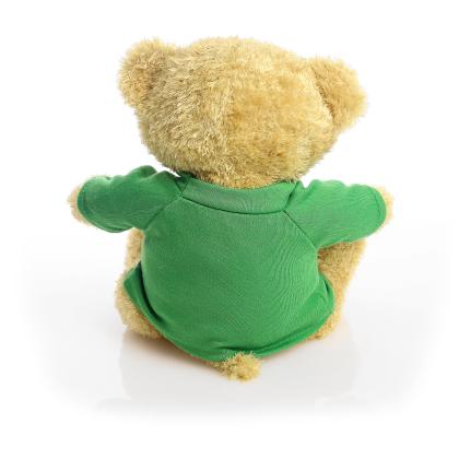 Printed Golden 22cm Edward bear - Green t-shirt