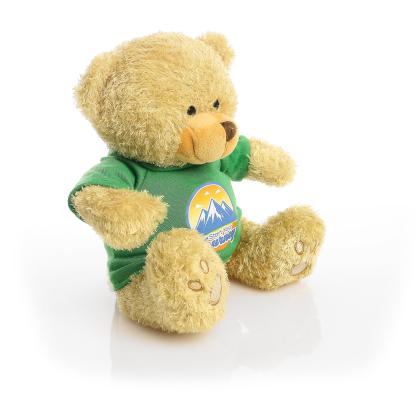 Printed Golden 22cm Edward bear - Green t-shirt
