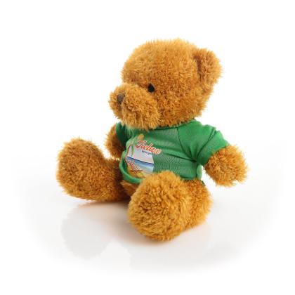 Printed Golden 18cm James bear - Green t-shirt