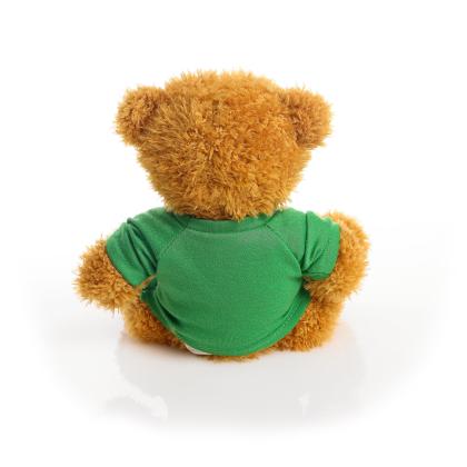 Printed Golden 18cm James bear - Green t-shirt