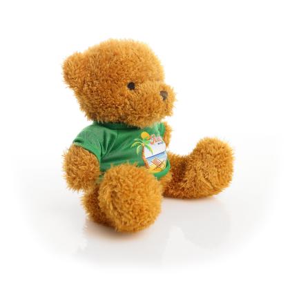 Printed Golden 18cm James bear - Green t-shirt