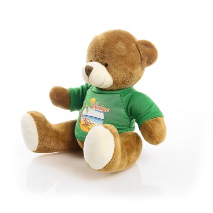 Printed 20cm Richard Bear - Green t-shirt