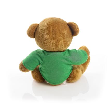 Printed 20cm Richard Bear - Green t-shirt