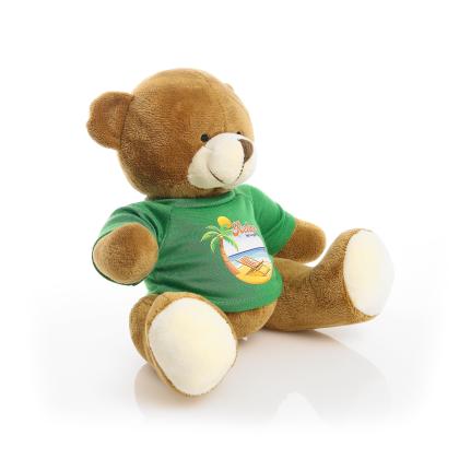 Printed 20cm Richard Bear - Green t-shirt
