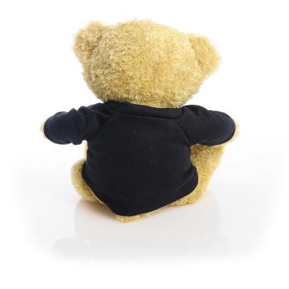 Printed Golden 22cm Edward bear - Navy Blue t-shirt