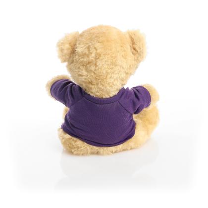 Printed 19cm Victoria bear - Purple t-shirt