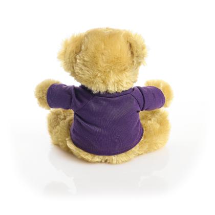 Printed 20cm Elizabeth bear - Purple t-shirt
