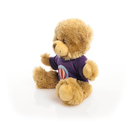 Printed 20cm Charles Jointed bear - Purple t-shirt