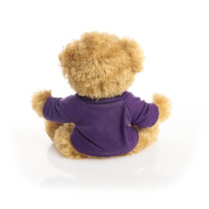 Printed 20cm Charles Jointed bear - Purple t-shirt