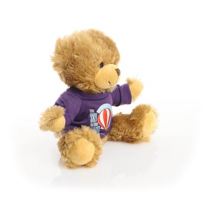 Printed 20cm Charles Jointed bear - Purple t-shirt