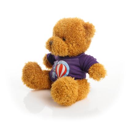 Printed Golden 18cm James bear - Purple t-shirt