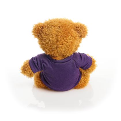 Printed Golden 18cm James bear - Purple t-shirt