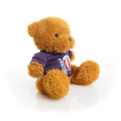 Printed Golden 18cm James bear - Purple t-shirt