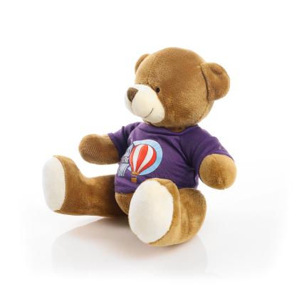 Printed 20cm Richard Bear - Purple t-shirt