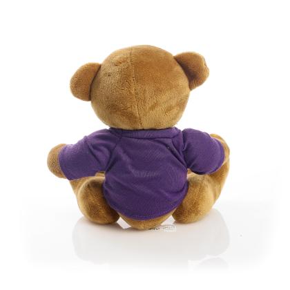Printed 20cm Richard Bear - Purple t-shirt