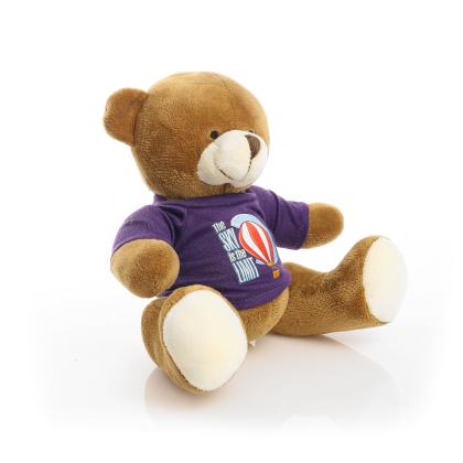 Printed 20cm Richard Bear - Purple t-shirt