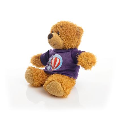 Printed 17cm Anne bear - Purple t-shirt