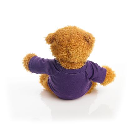 Printed 17cm Anne bear - Purple t-shirt