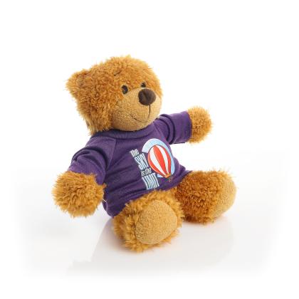 Printed 17cm Anne bear - Purple t-shirt